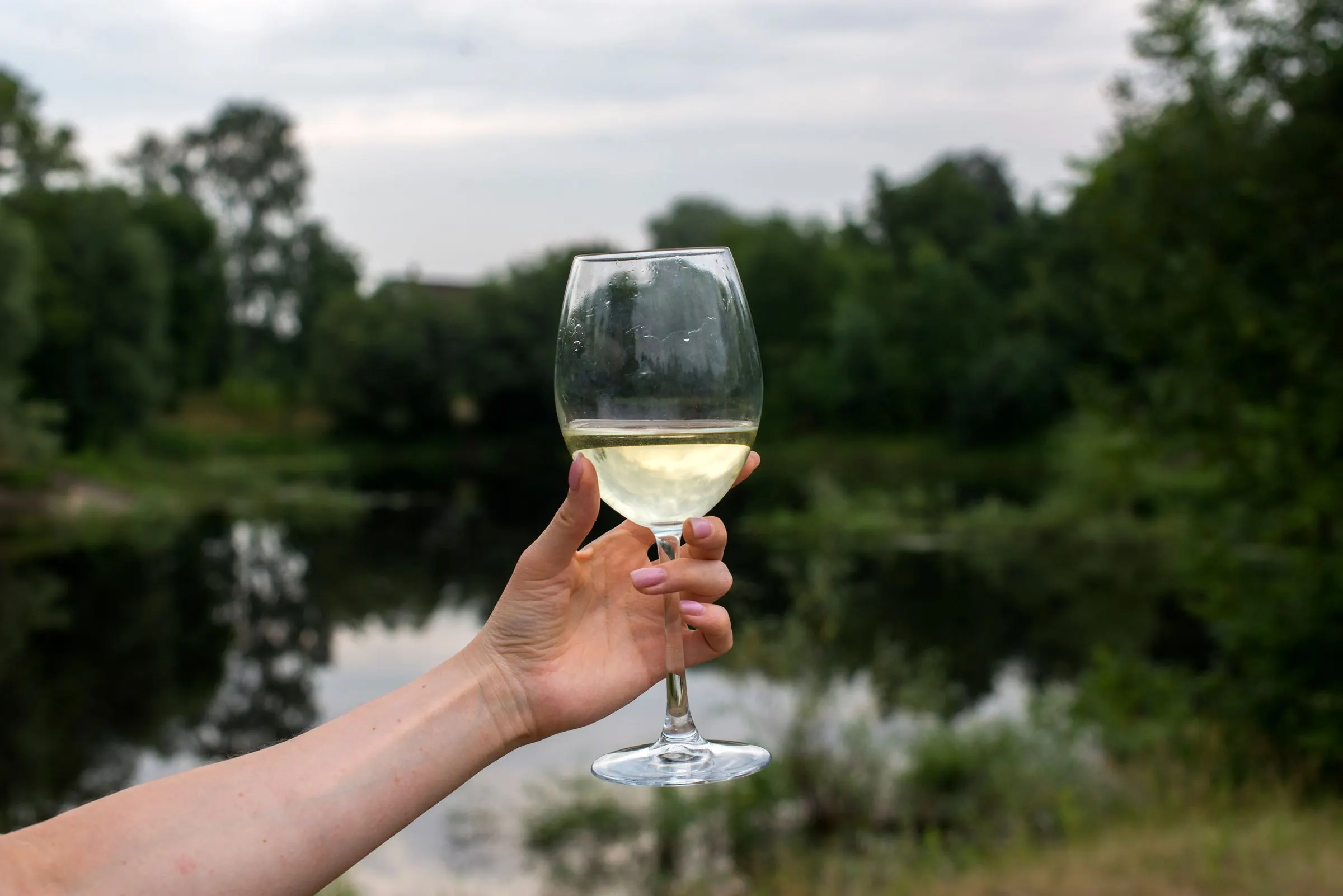 Copa de txakoli con la ría de Urdaibai al fondo